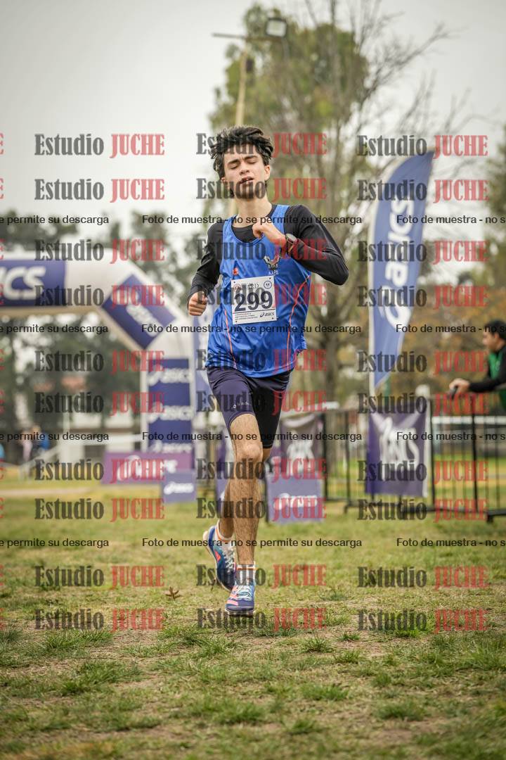 Fotos de la llegada del cross de 8000 m