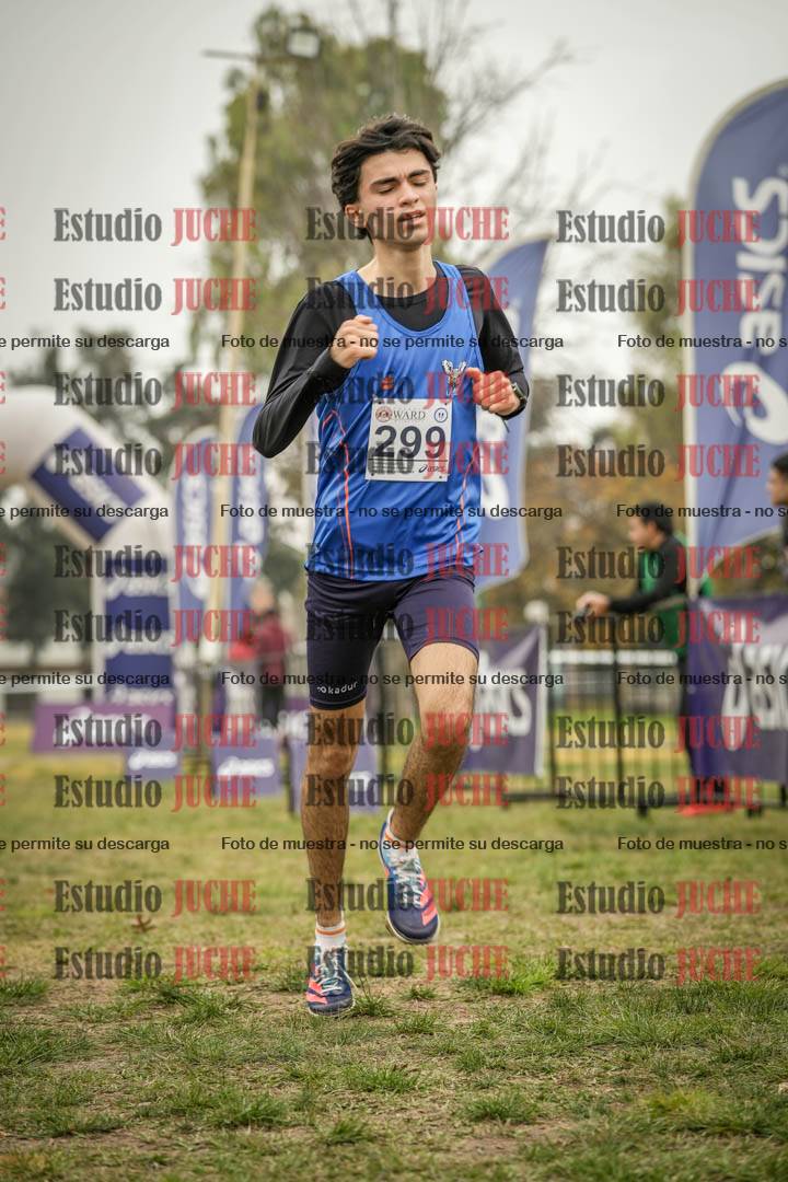Fotos de la llegada del cross de 8000 m