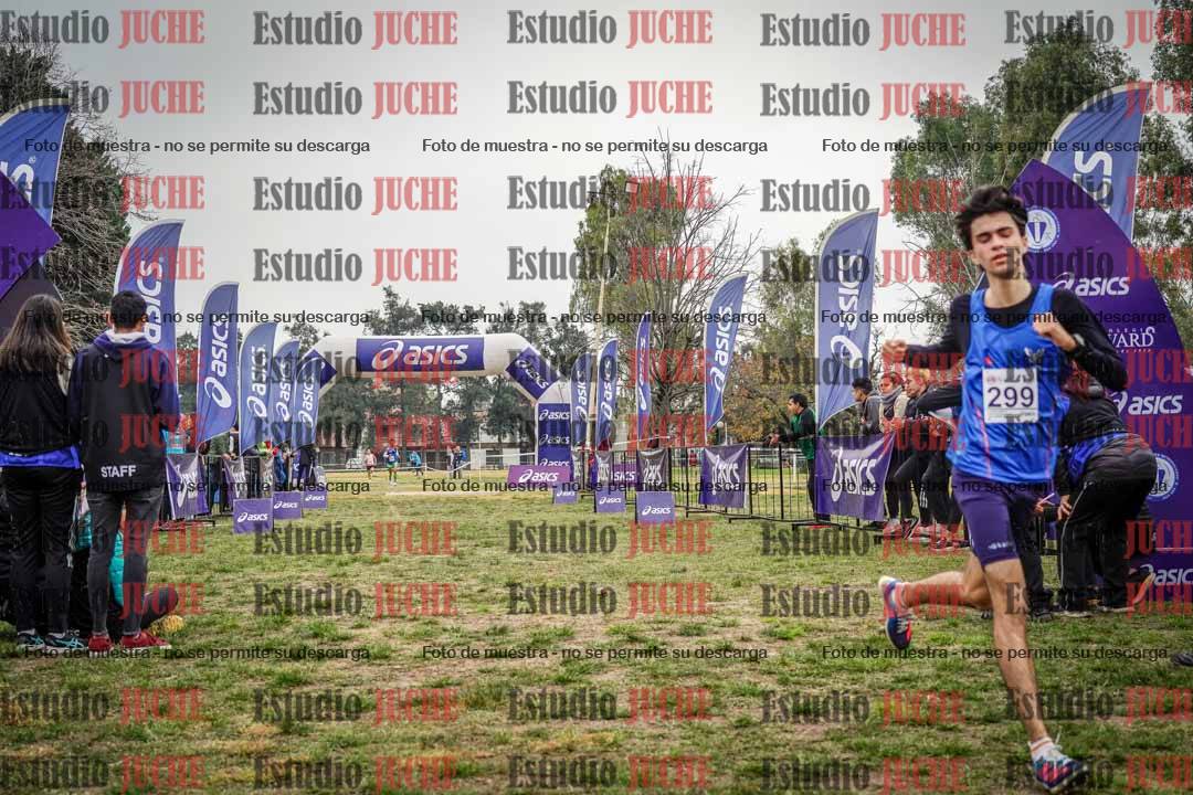 Fotos de la llegada del cross de 8000 m