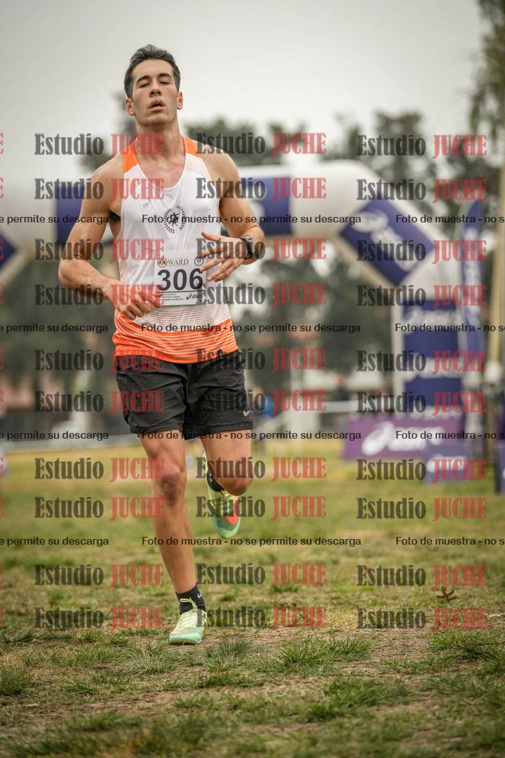Fotos de la llegada del cross de 8000 m