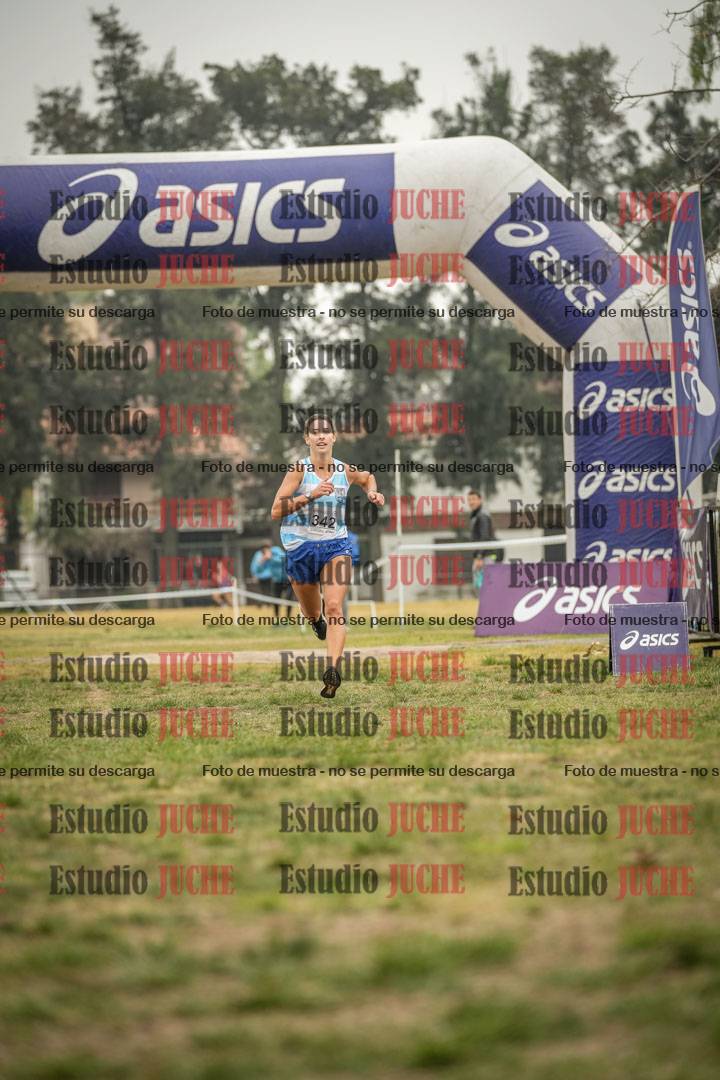 Fotos de la llegada del cross de 8000 m