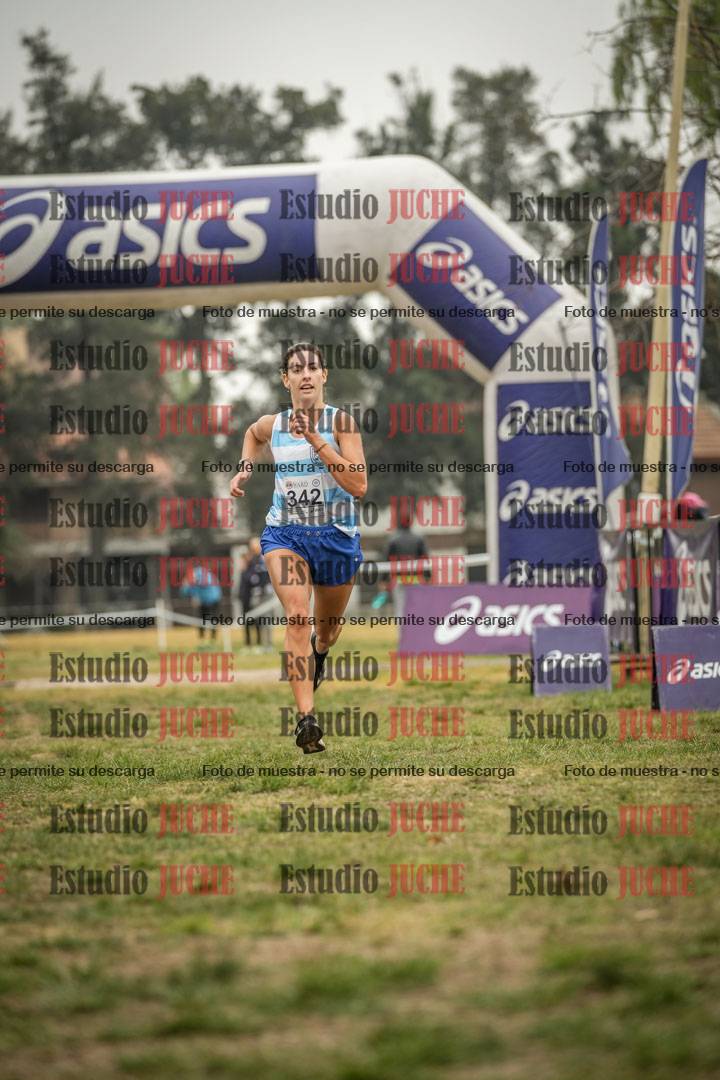 Fotos de la llegada del cross de 8000 m