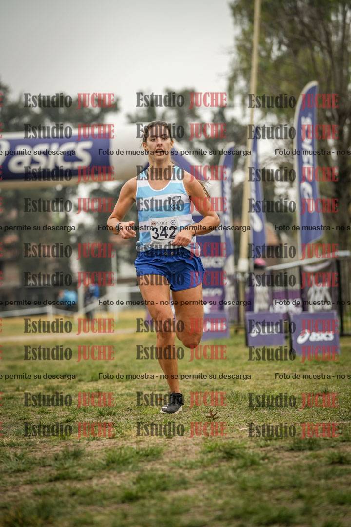 Fotos de la llegada del cross de 8000 m