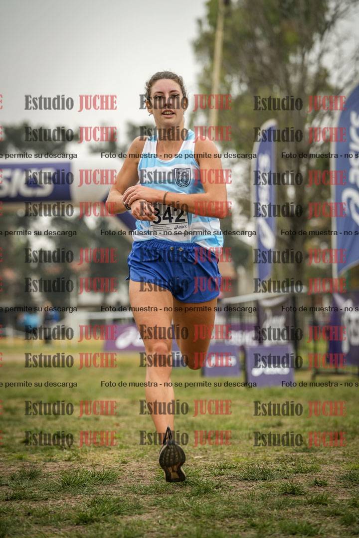 Fotos de la llegada del cross de 8000 m