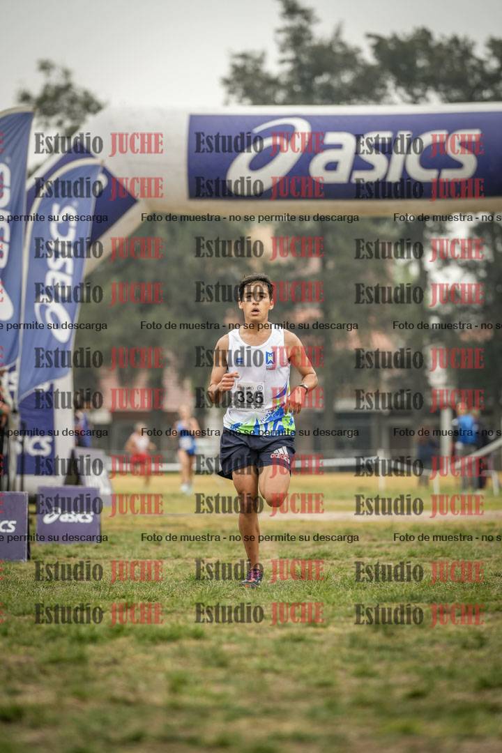 Fotos de la llegada del cross de 8000 m