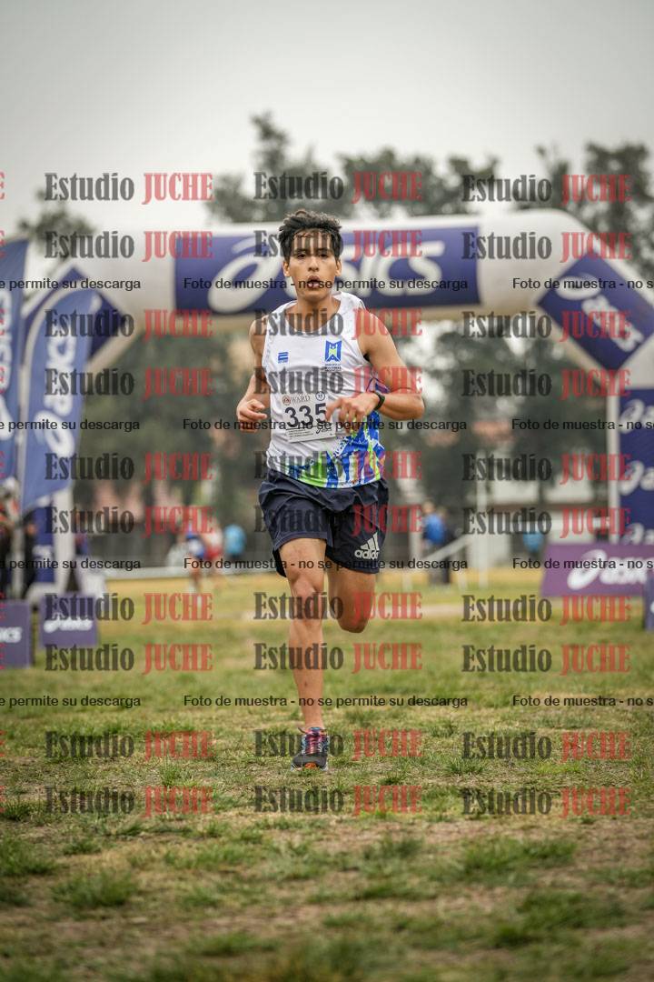 Fotos de la llegada del cross de 8000 m