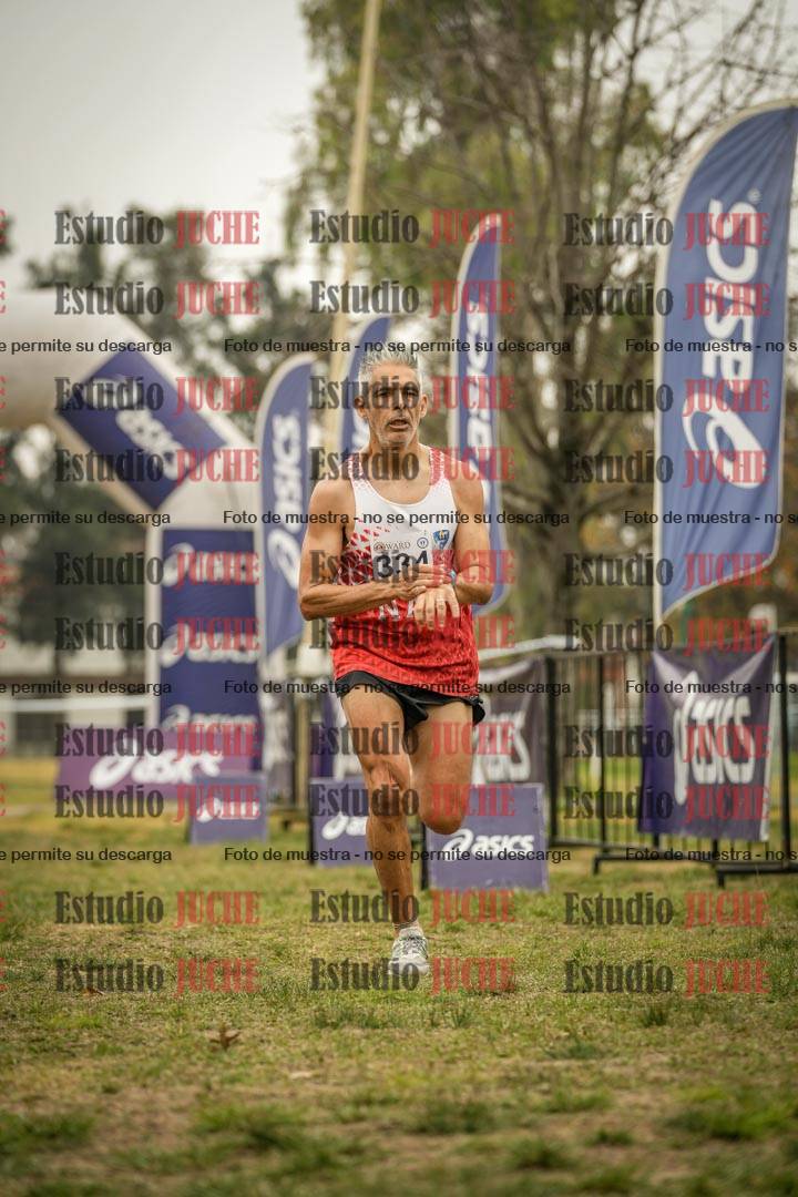 Fotos de la llegada del cross de 8000 m