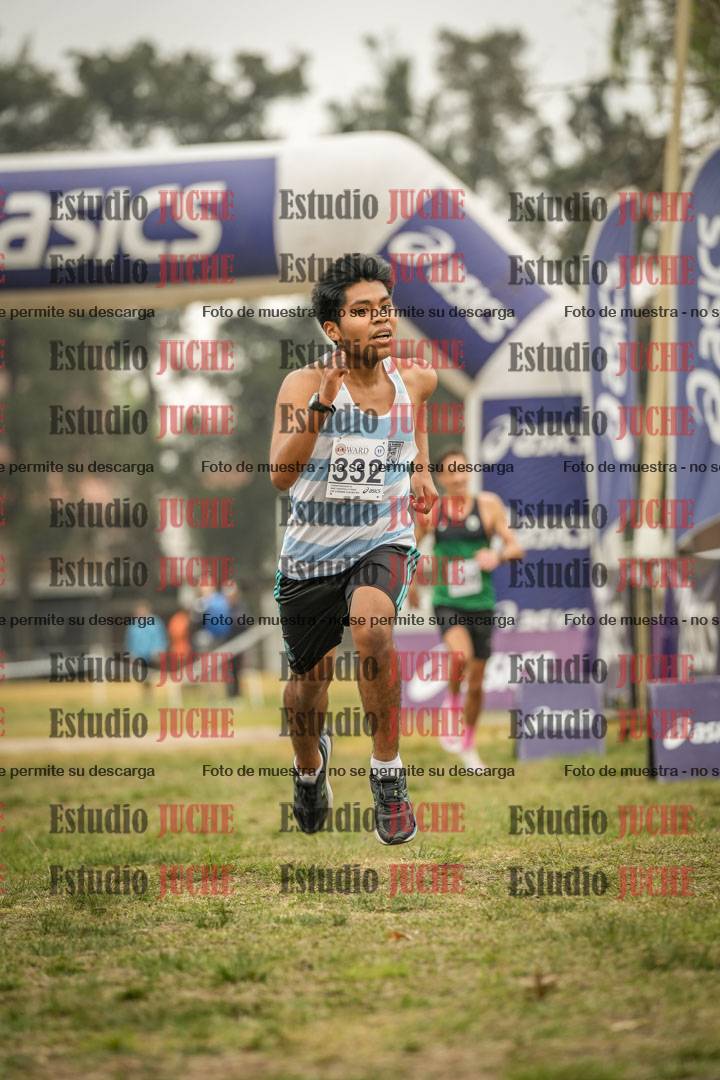 Fotos de la llegada del cross de 8000 m