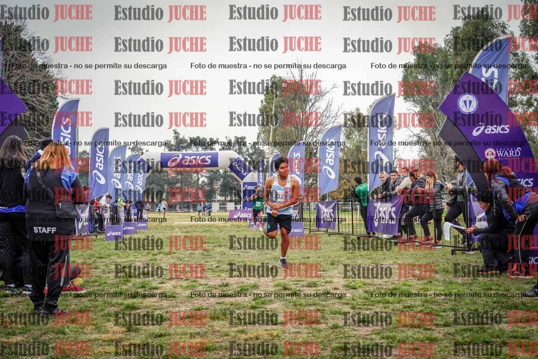 Fotos de la llegada del cross de 8000 m