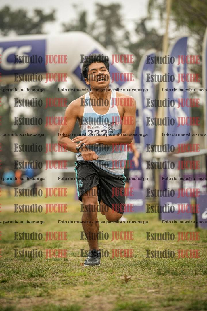 Fotos de la llegada del cross de 8000 m