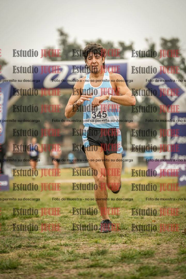 Fotos de la llegada del cross de 8000 m