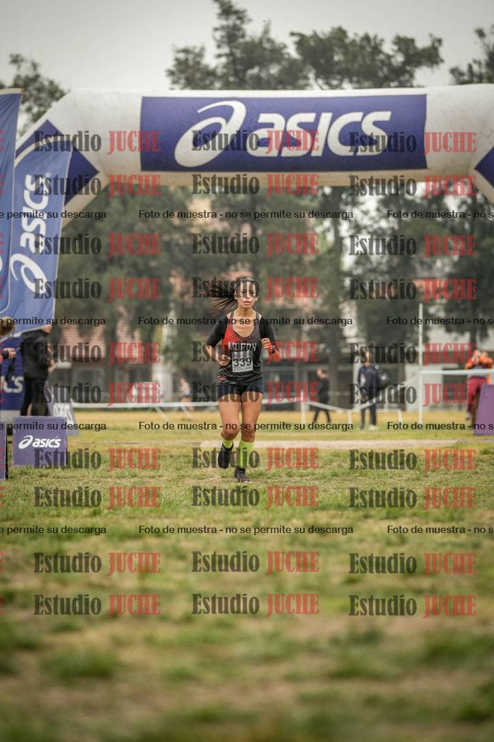 Fotos de la llegada del cross de 8000 m