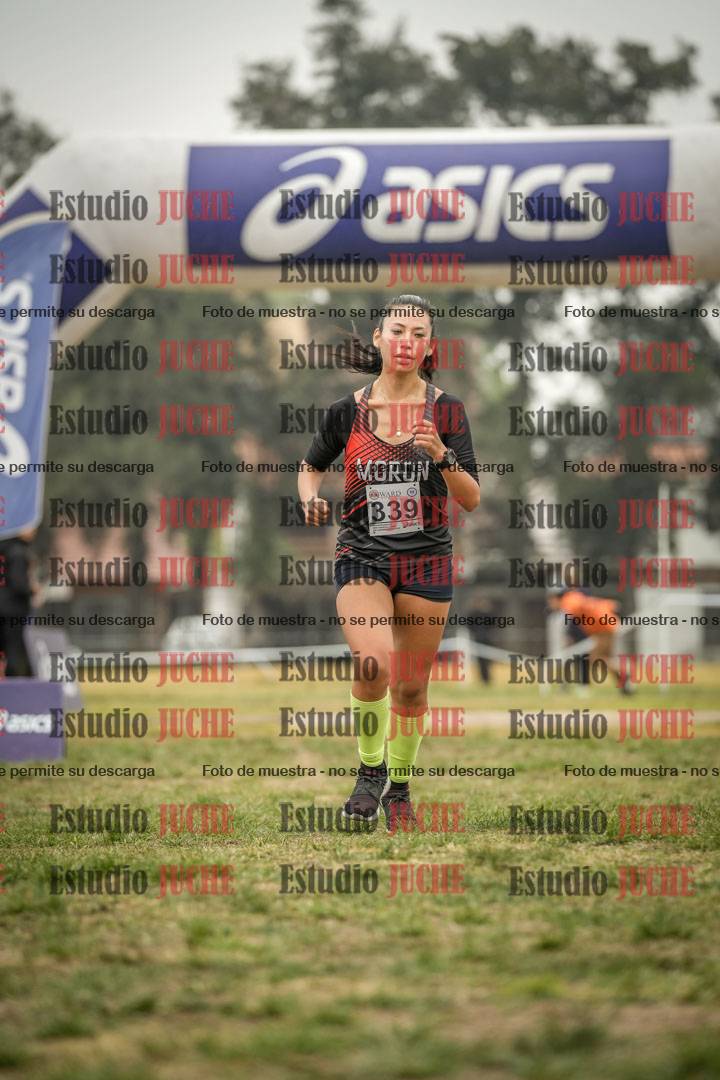 Fotos de la llegada del cross de 8000 m
