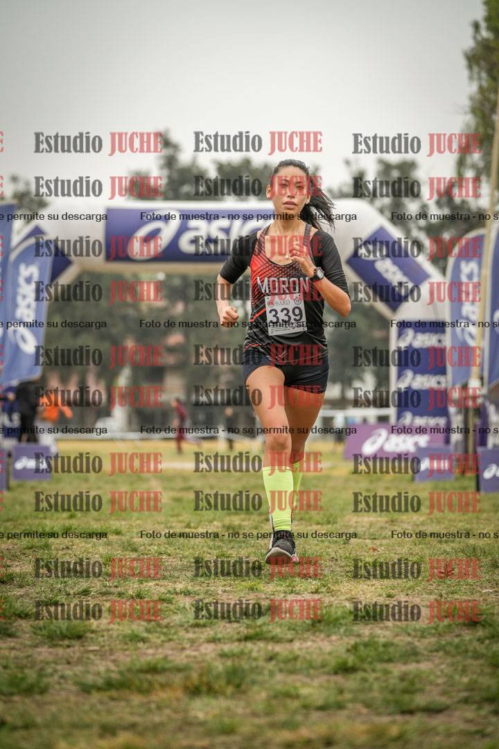 Fotos de la llegada del cross de 8000 m