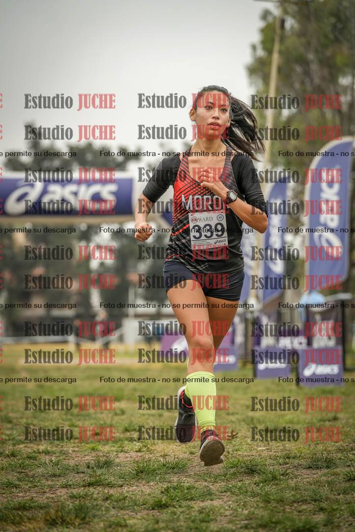 Fotos de la llegada del cross de 8000 m