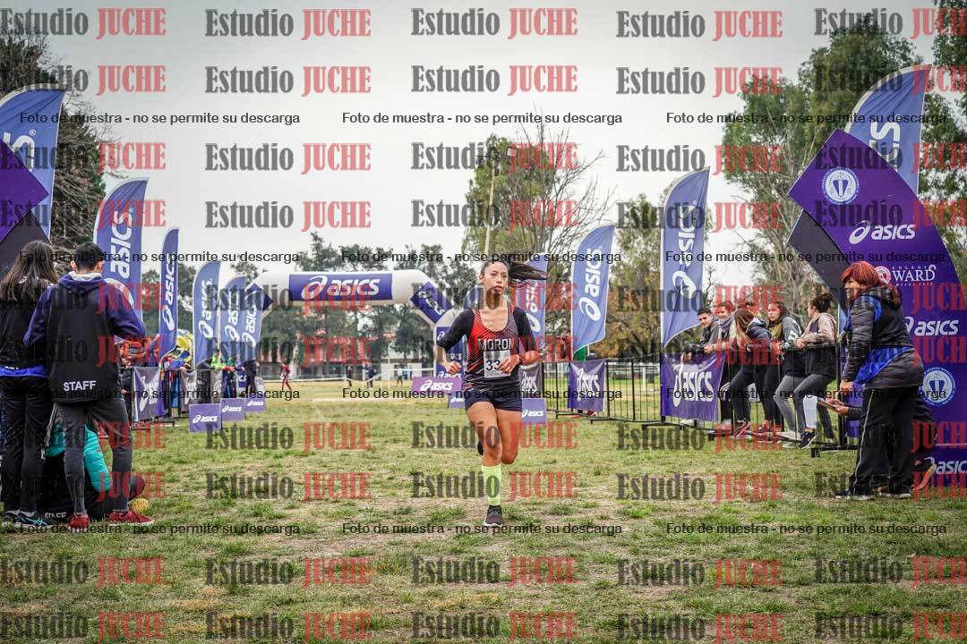 Fotos de la llegada del cross de 8000 m