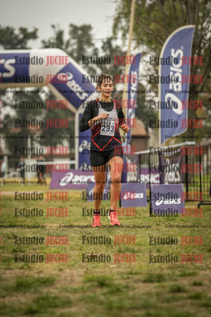 Fotos de la llegada del cross de 8000 m