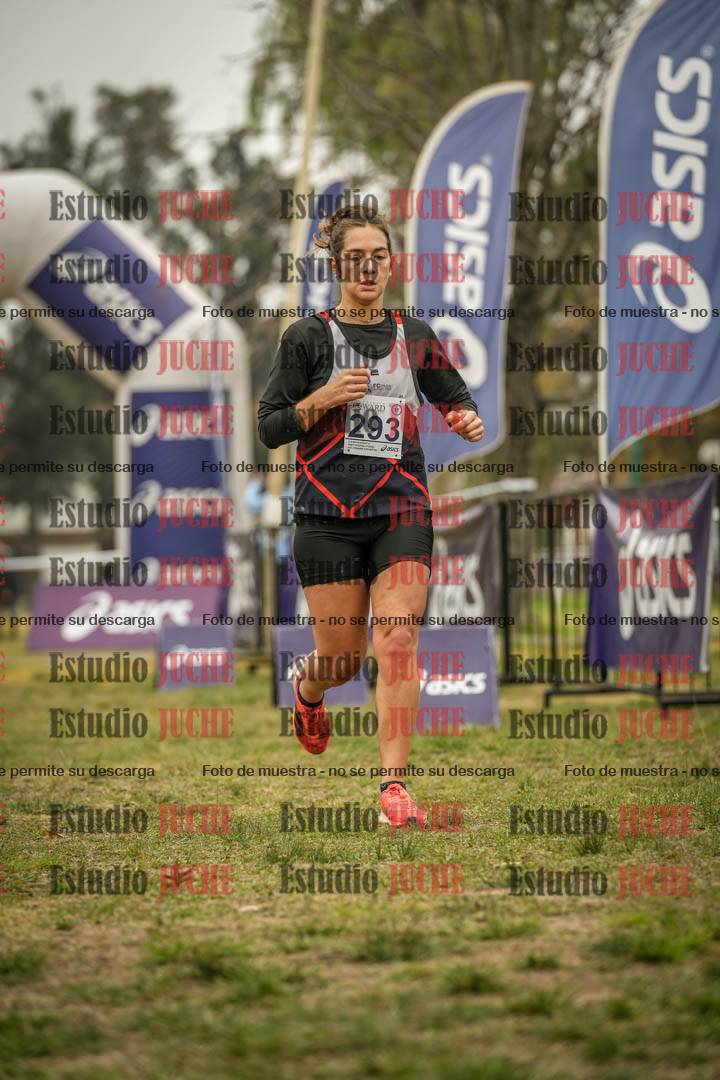 Fotos de la llegada del cross de 8000 m