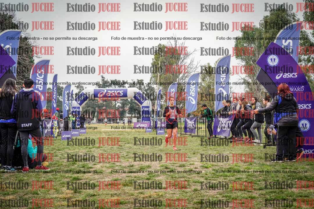 Fotos de la llegada del cross de 8000 m