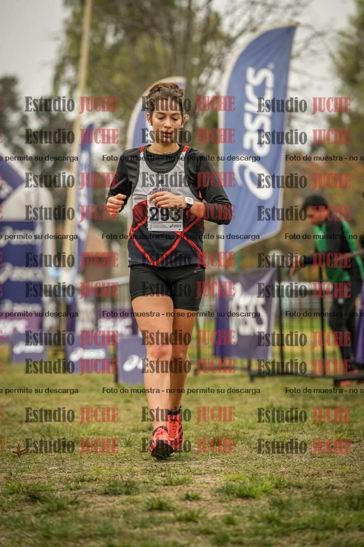 Fotos de la llegada del cross de 8000 m