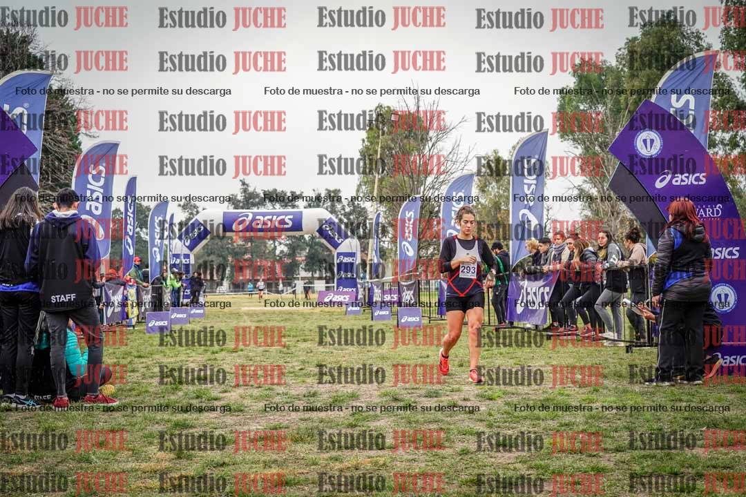 Fotos de la llegada del cross de 8000 m