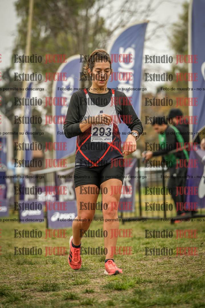 Fotos de la llegada del cross de 8000 m