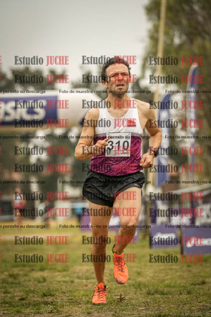 Fotos de la llegada del cross de 8000 m