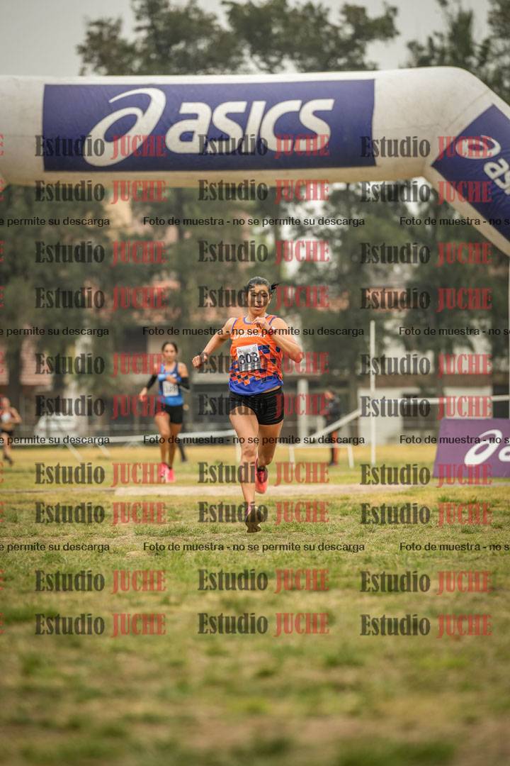 Fotos de la llegada del cross de 8000 m