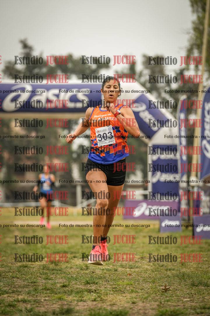 Fotos de la llegada del cross de 8000 m