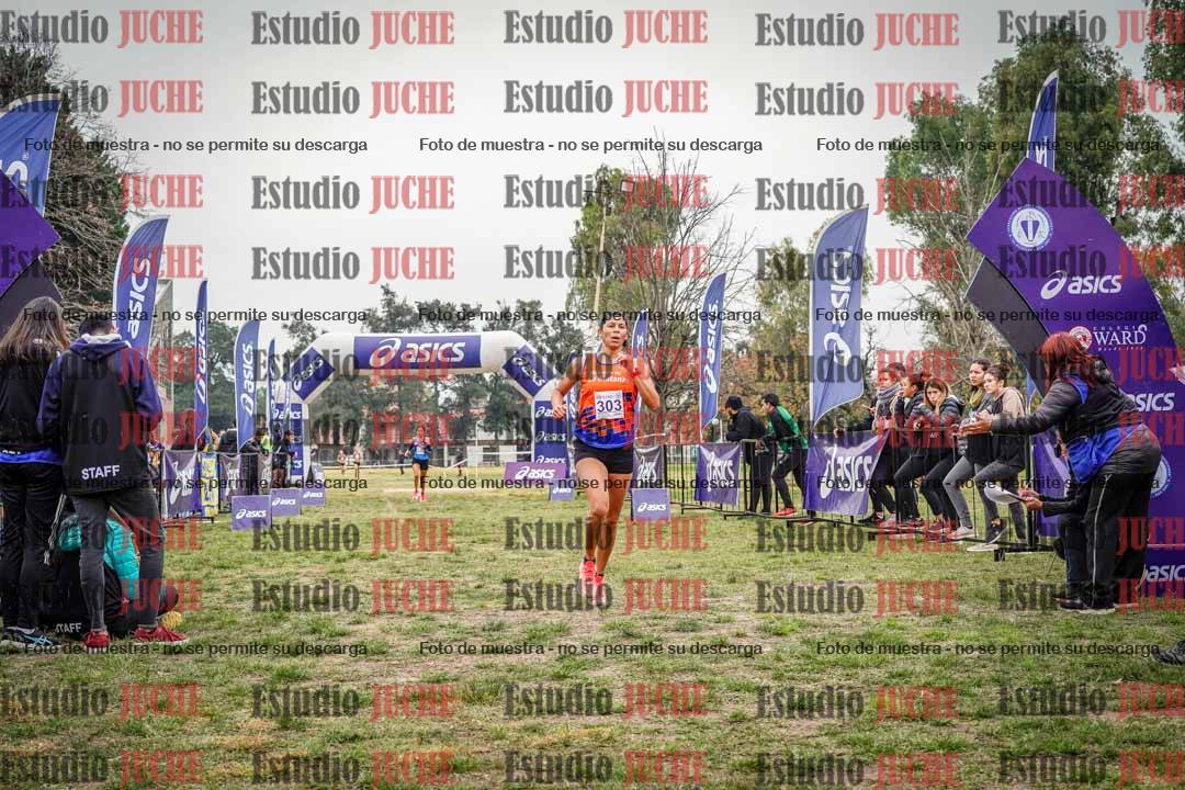 Fotos de la llegada del cross de 8000 m