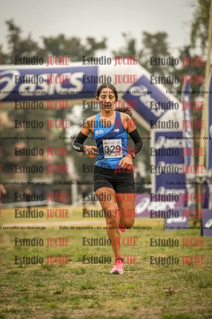 Fotos de la llegada del cross de 8000 m
