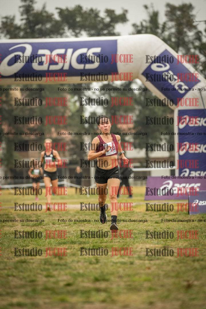 Fotos de la llegada del cross de 8000 m