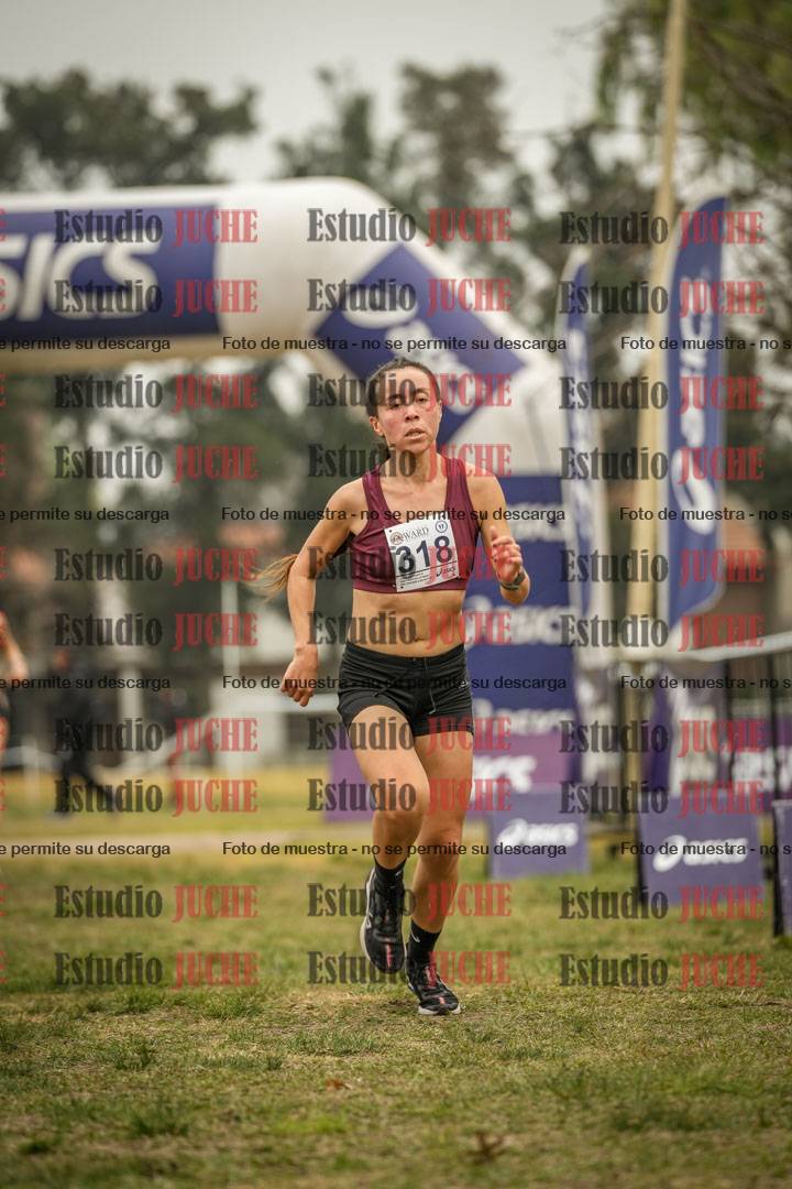 Fotos de la llegada del cross de 8000 m