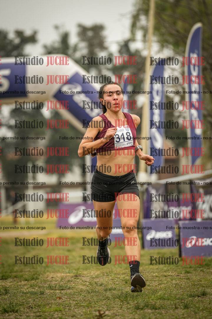 Fotos de la llegada del cross de 8000 m