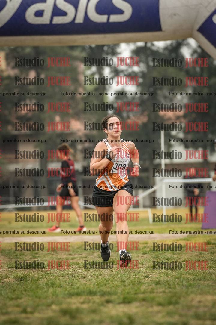 Fotos de la llegada del cross de 8000 m