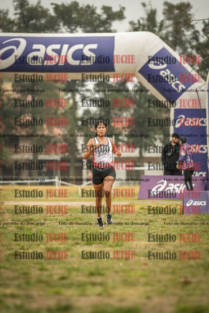 Fotos de la llegada del cross de 8000 m