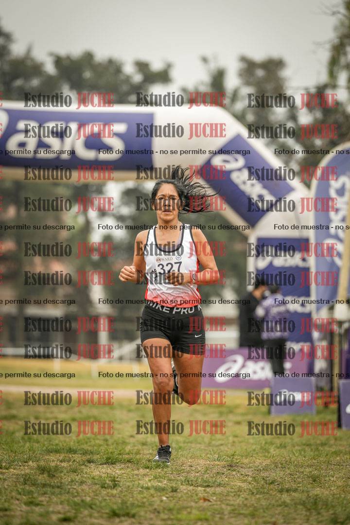 Fotos de la llegada del cross de 8000 m