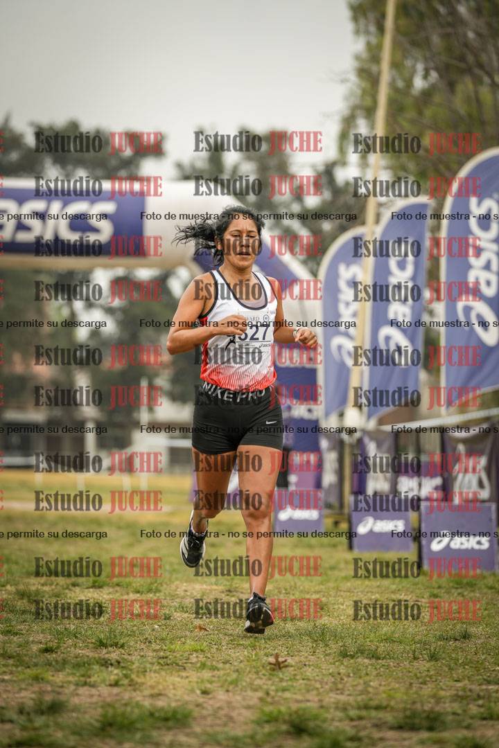 Fotos de la llegada del cross de 8000 m