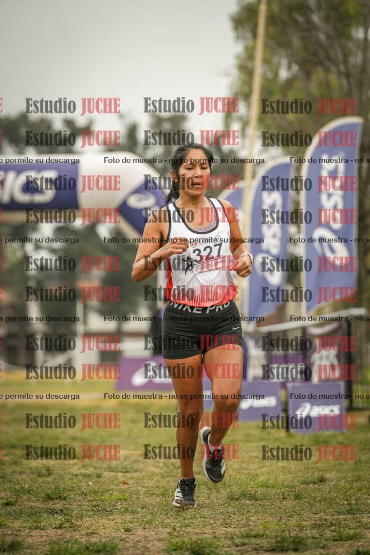 Fotos de la llegada del cross de 8000 m