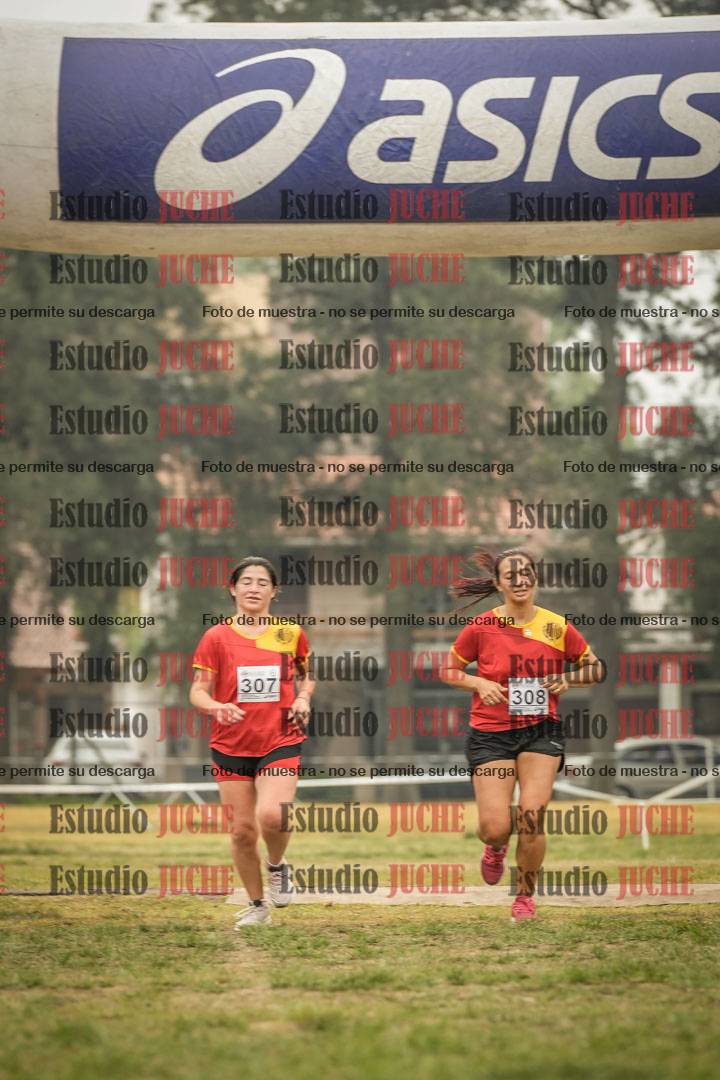 Fotos de la llegada del cross de 8000 m