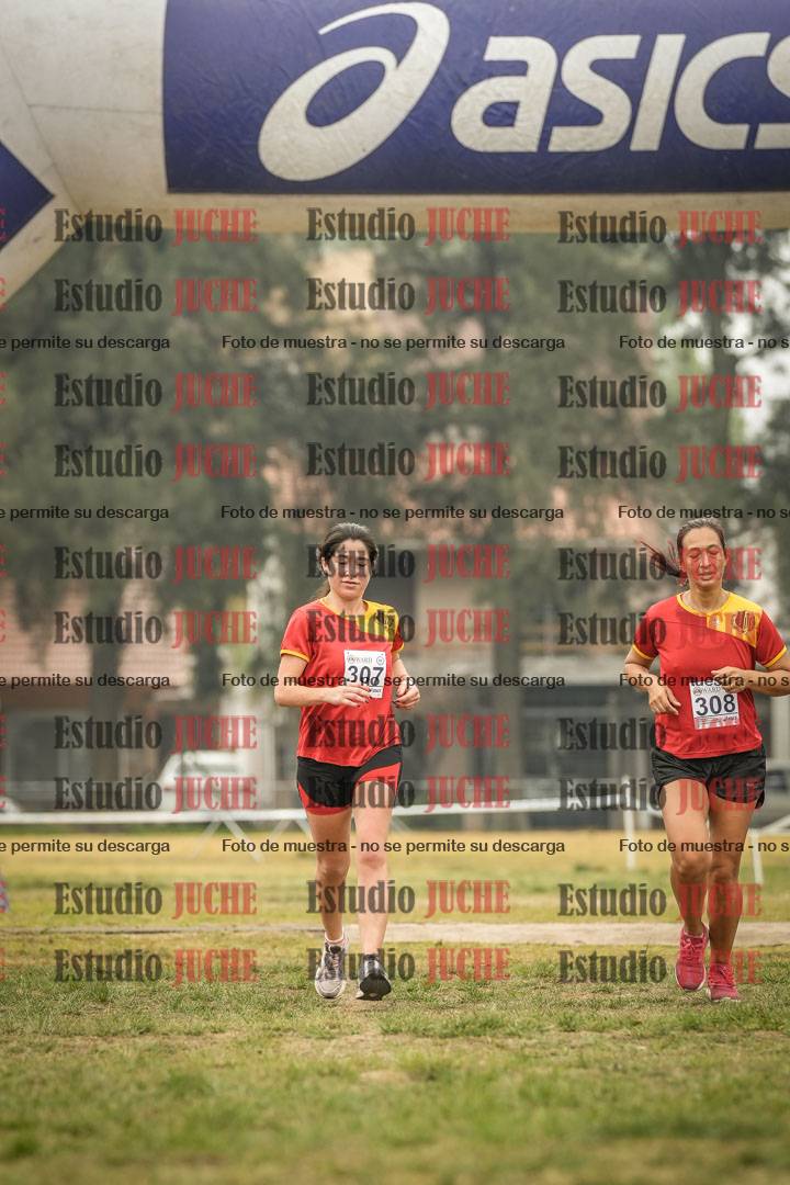 Fotos de la llegada del cross de 8000 m
