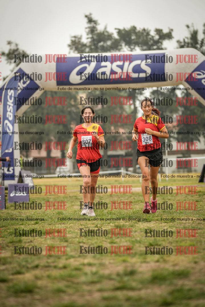 Fotos de la llegada del cross de 8000 m