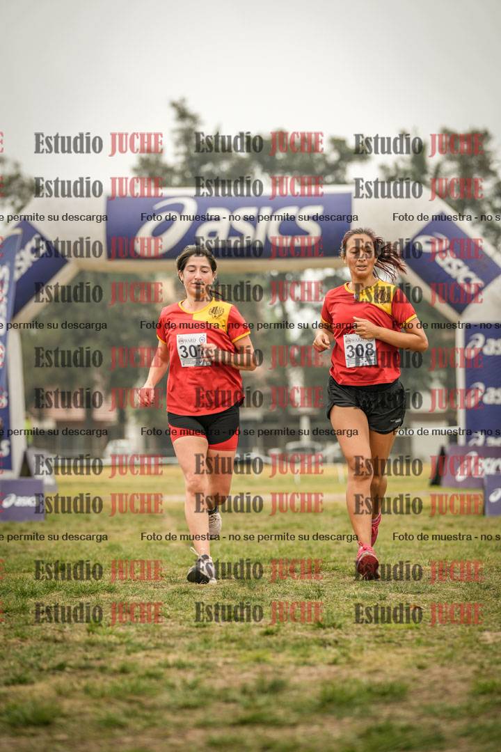 Fotos de la llegada del cross de 8000 m