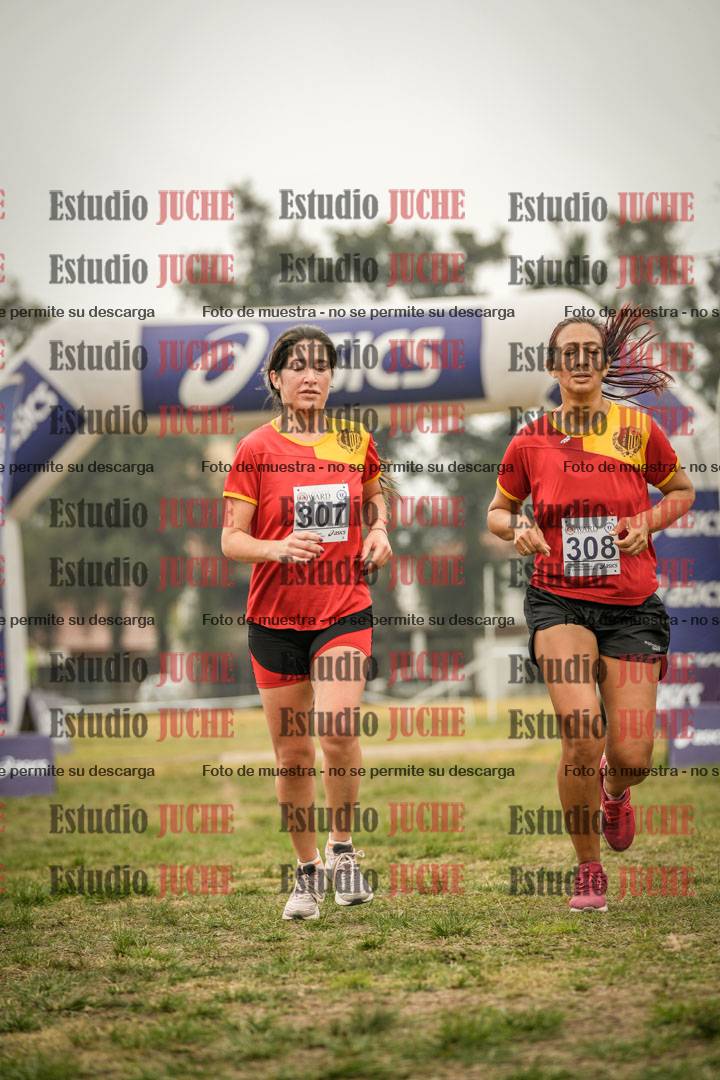 Fotos de la llegada del cross de 8000 m