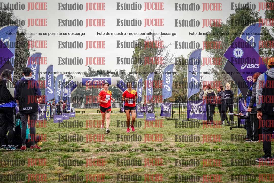 Fotos de la llegada del cross de 8000 m