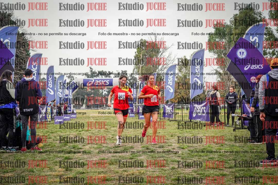 Fotos de la llegada del cross de 8000 m