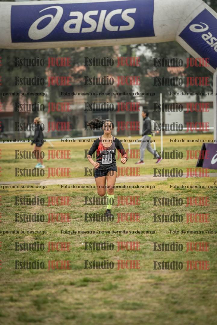 Fotos de la llegada del cross de 8000 m