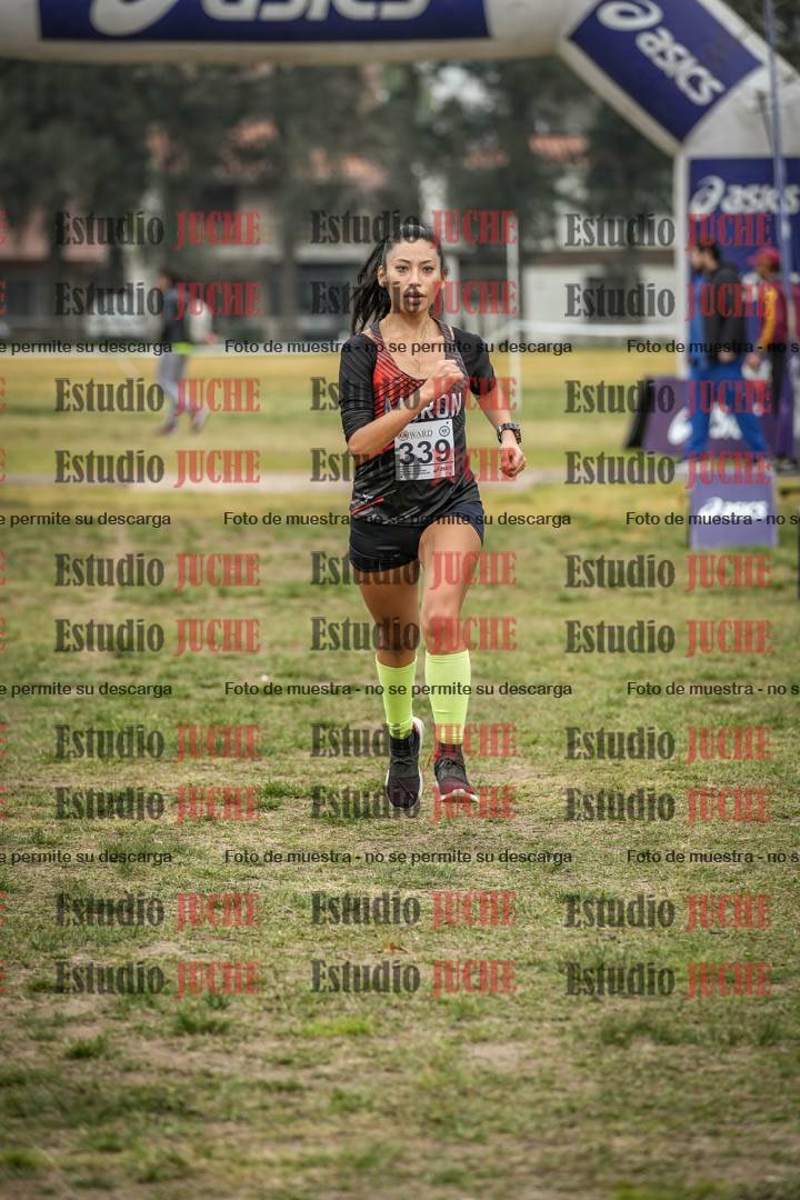 Fotos de la llegada del cross de 8000 m