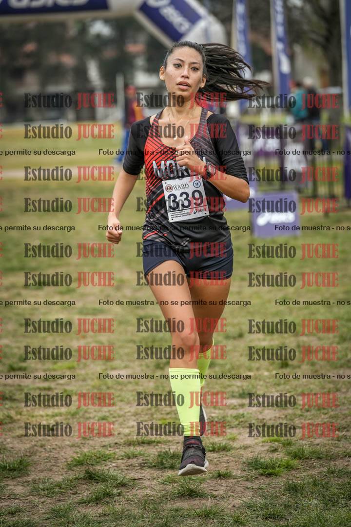 Fotos de la llegada del cross de 8000 m
