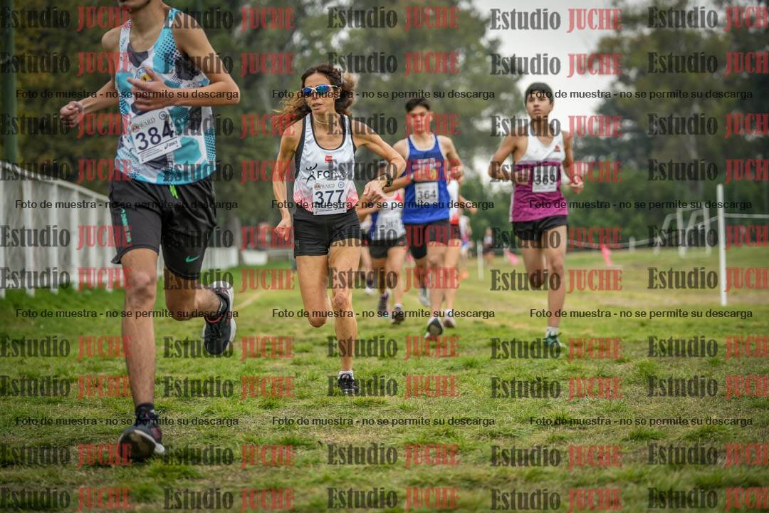 Fotos en el segundo punto del circuito
